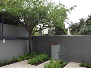 Diseño de jardines integrales en Barcelona. Árbol y arbustos para jardín solarium