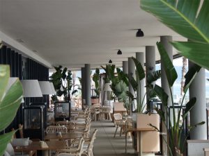 Proyecto jardinería Hotel Terramar