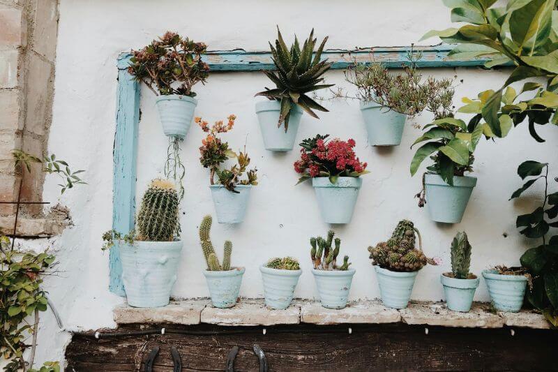 Cómo hacer un jardín vertical exterior