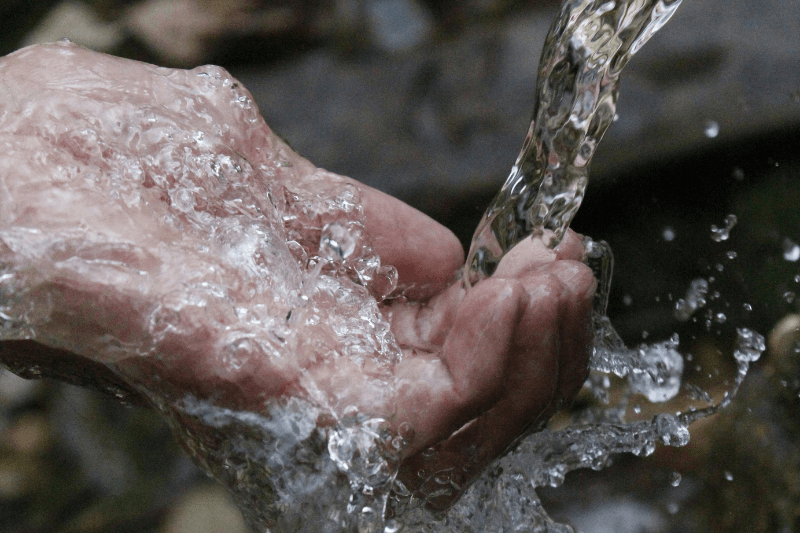 Uno de los recursos más preciados: el agua.