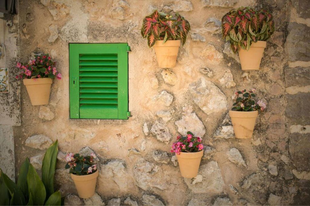 Cómo hacer un jardín vertical exterior