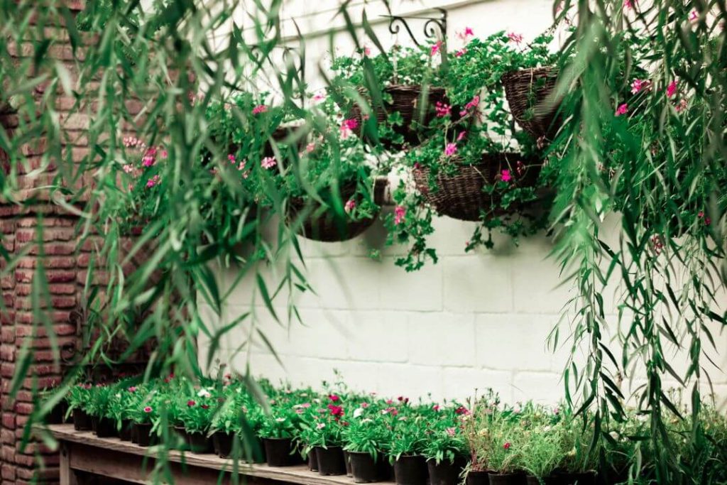 Cómo hacer un jardín vertical exterior